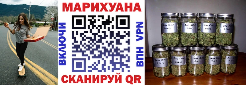 Каннабис план  закладки  Чкаловск 